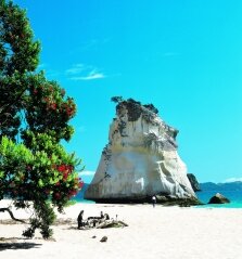 Cathedral Cove Coromandel