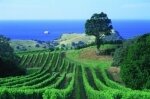 Wineries New Zealand